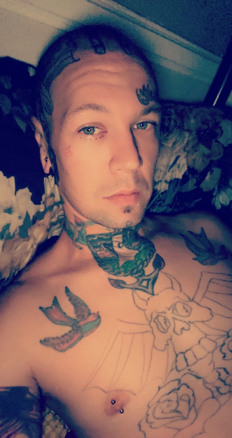 oftat2highway OnlyFans profile picture