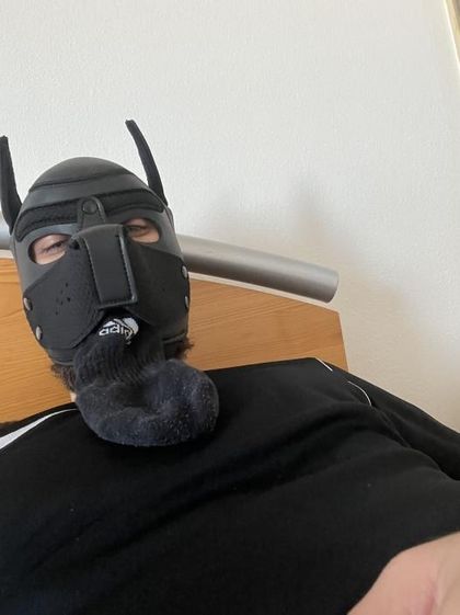 maskeddoggy OnlyFans picture