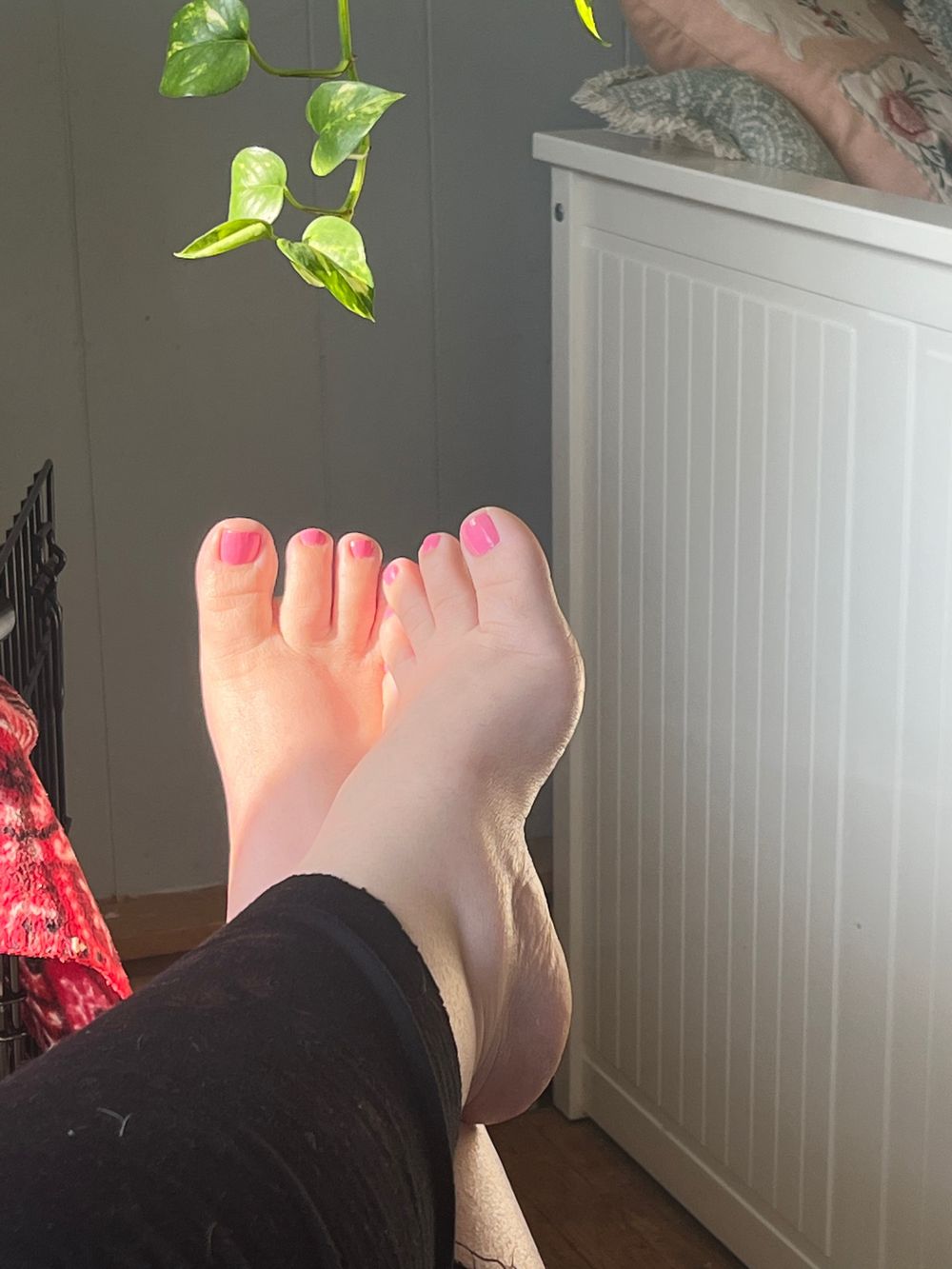 totootsies OnlyFans profile picture