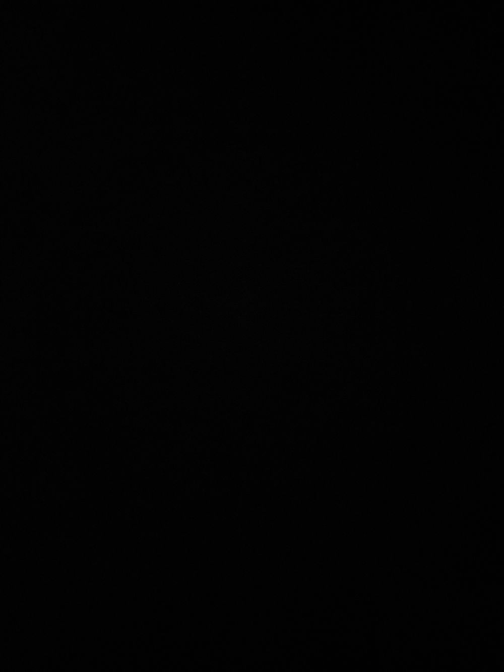 purradingie OnlyFans profile picture