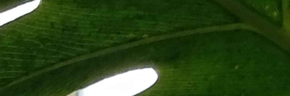 stoopidbish666 OnlyFans profile picture