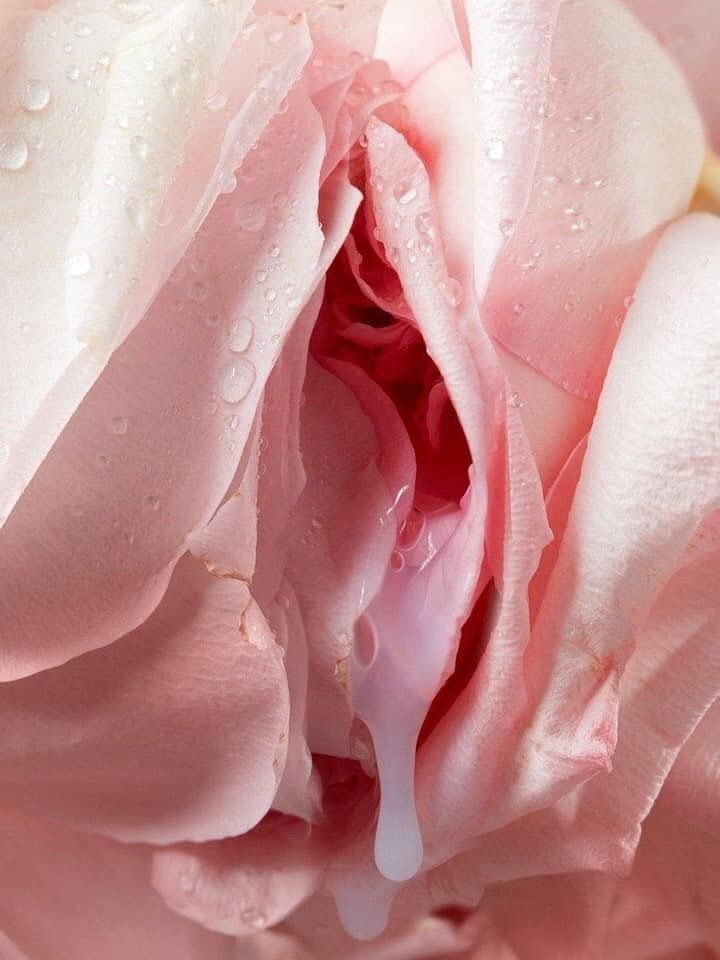 dadalee OnlyFans profile picture