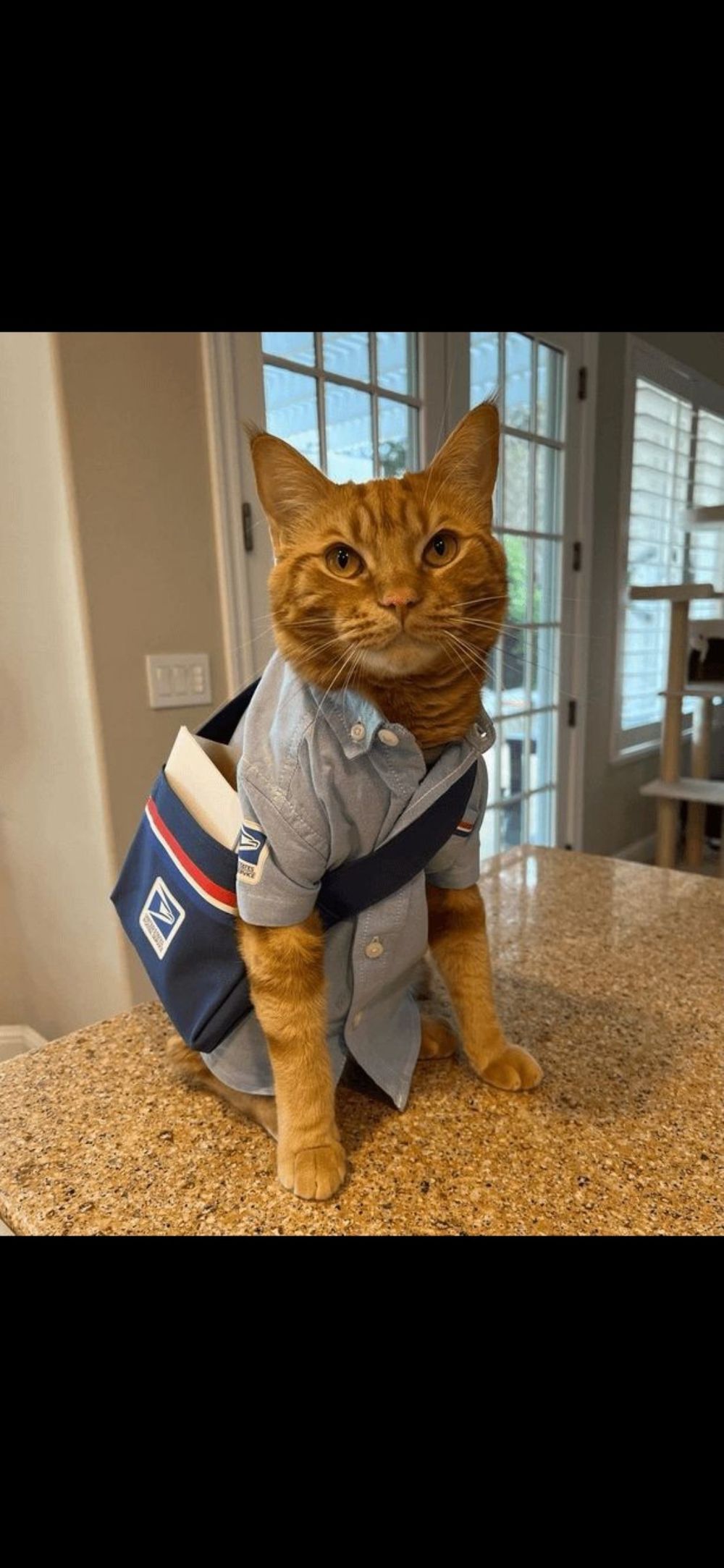 mailmanaction OnlyFans profile picture