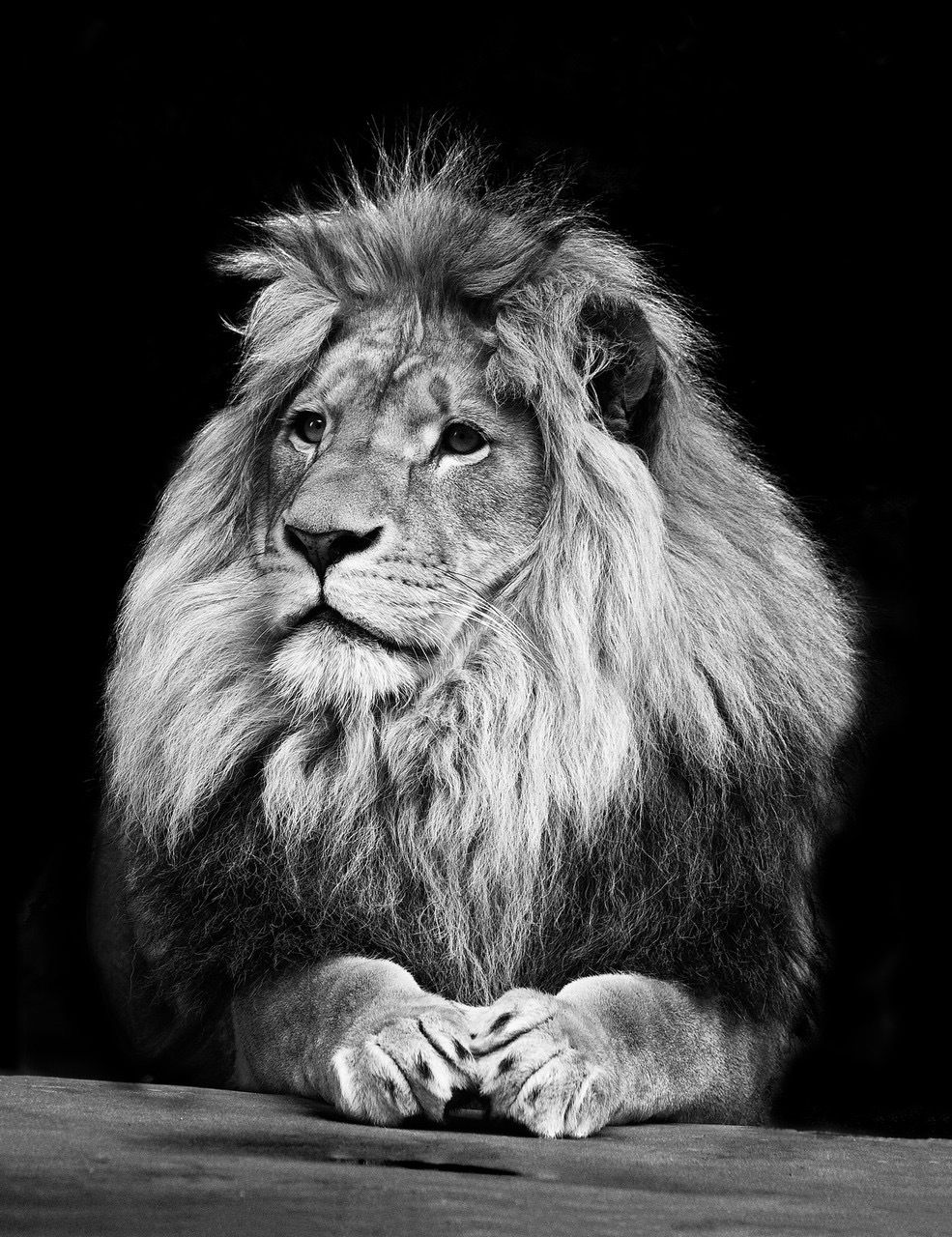 thestrokeisgodly OnlyFans profile picture