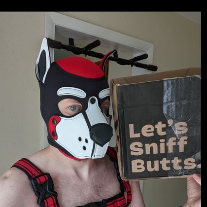 pup_chrono OnlyFans picture