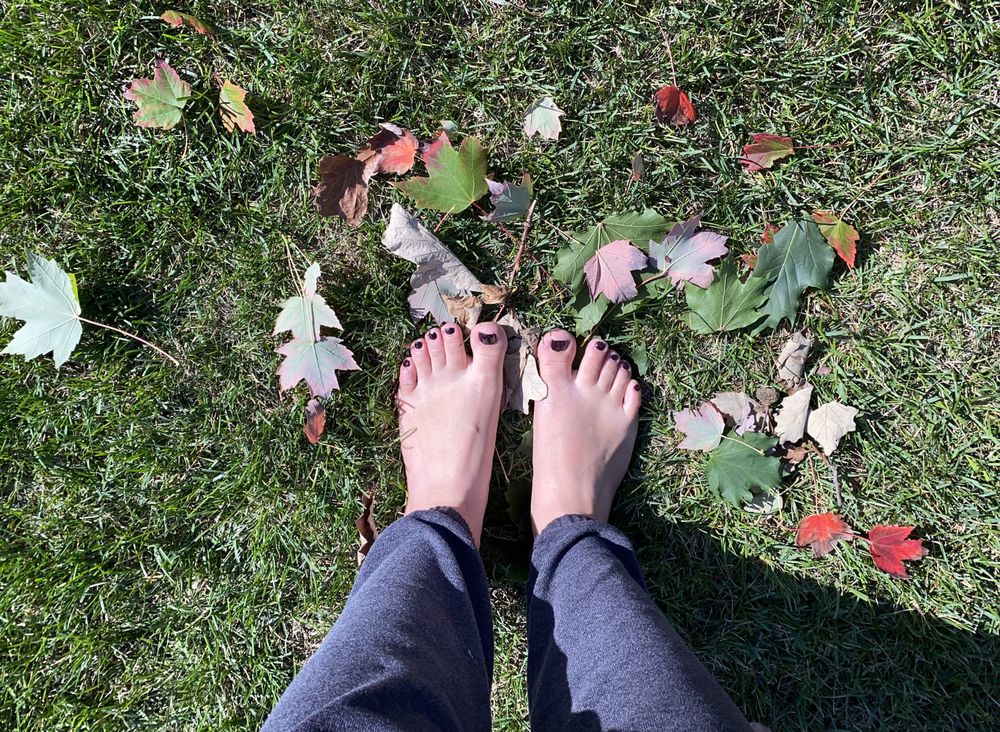 teeztoes OnlyFans profile picture
