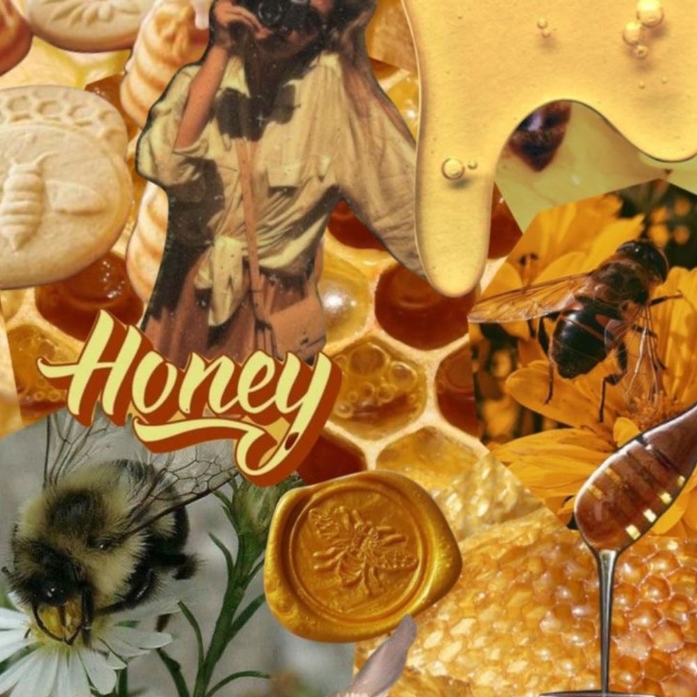 sweet.honey.bea OnlyFans profile picture