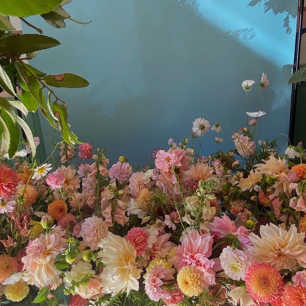 flowers1ut OnlyFans profile picture