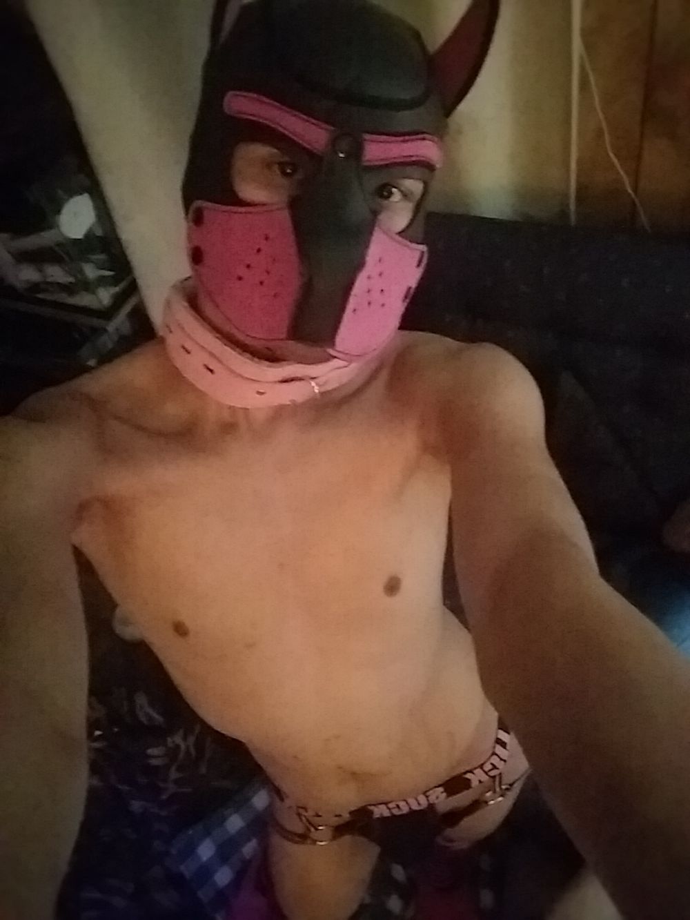 jaimzyfox OnlyFans profile picture