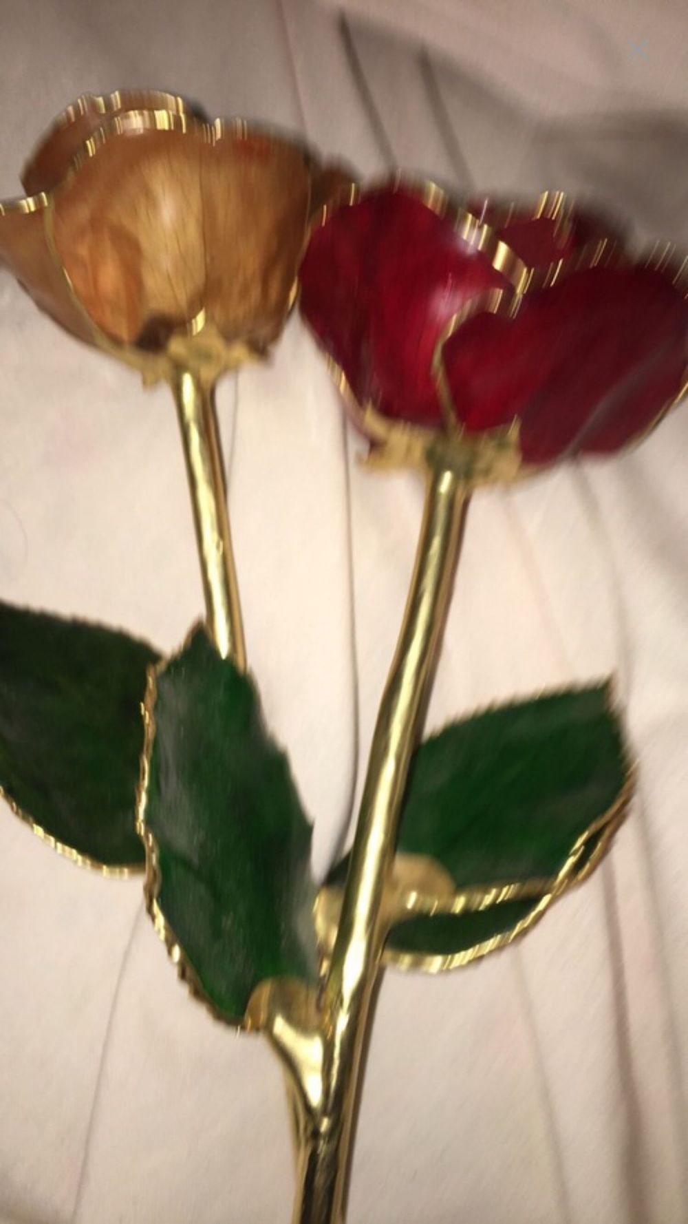 latinabbw OnlyFans profile picture