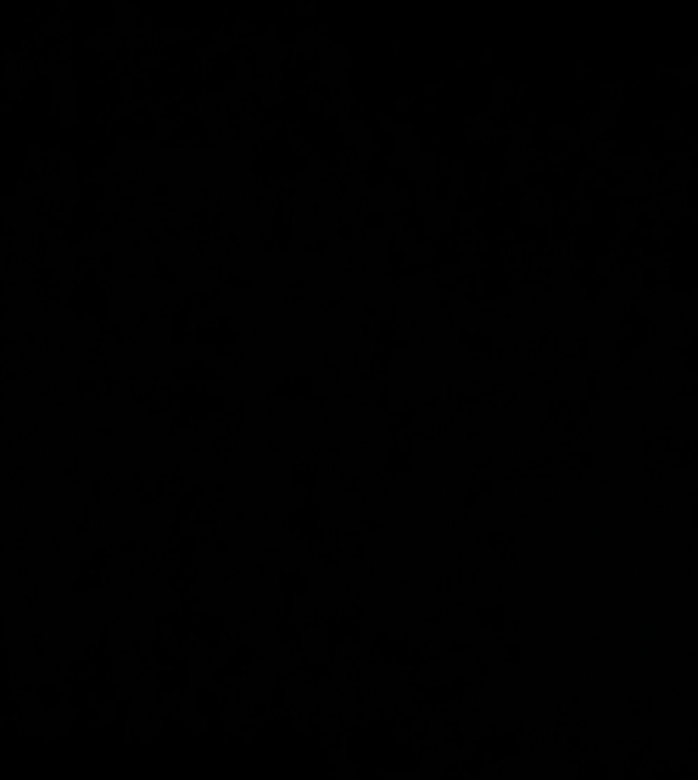 u41081912 OnlyFans profile picture