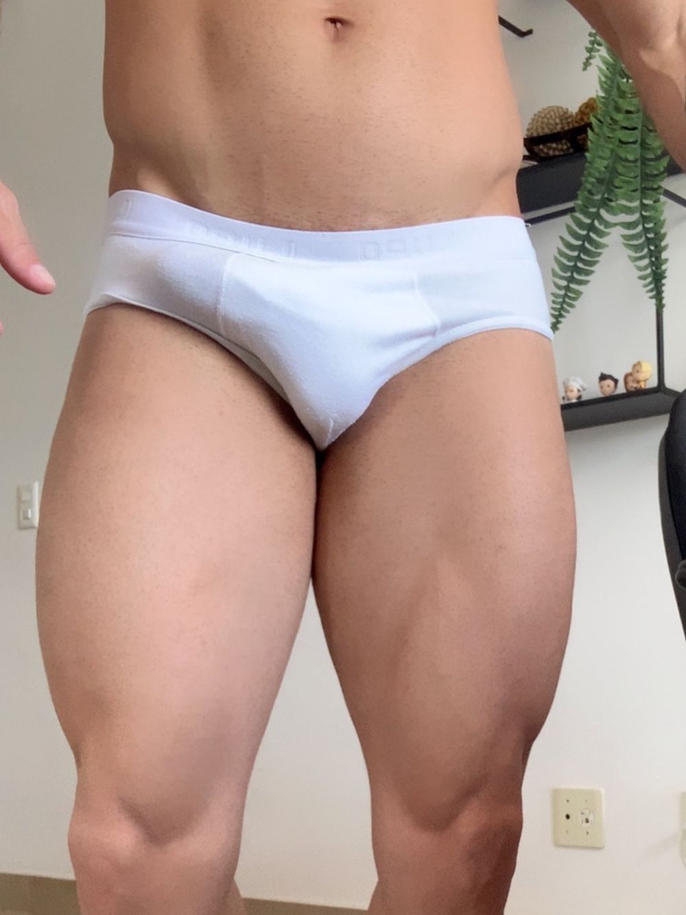 fernandopicoli OnlyFans profile picture