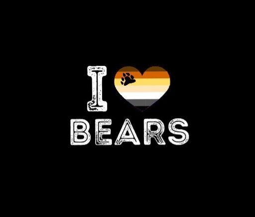 furrypiercedcub OnlyFans profile picture