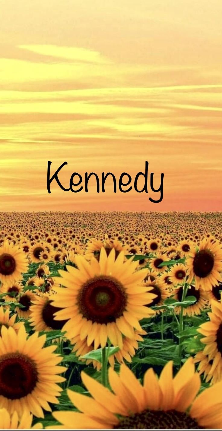 purelykennedy OnlyFans profile picture