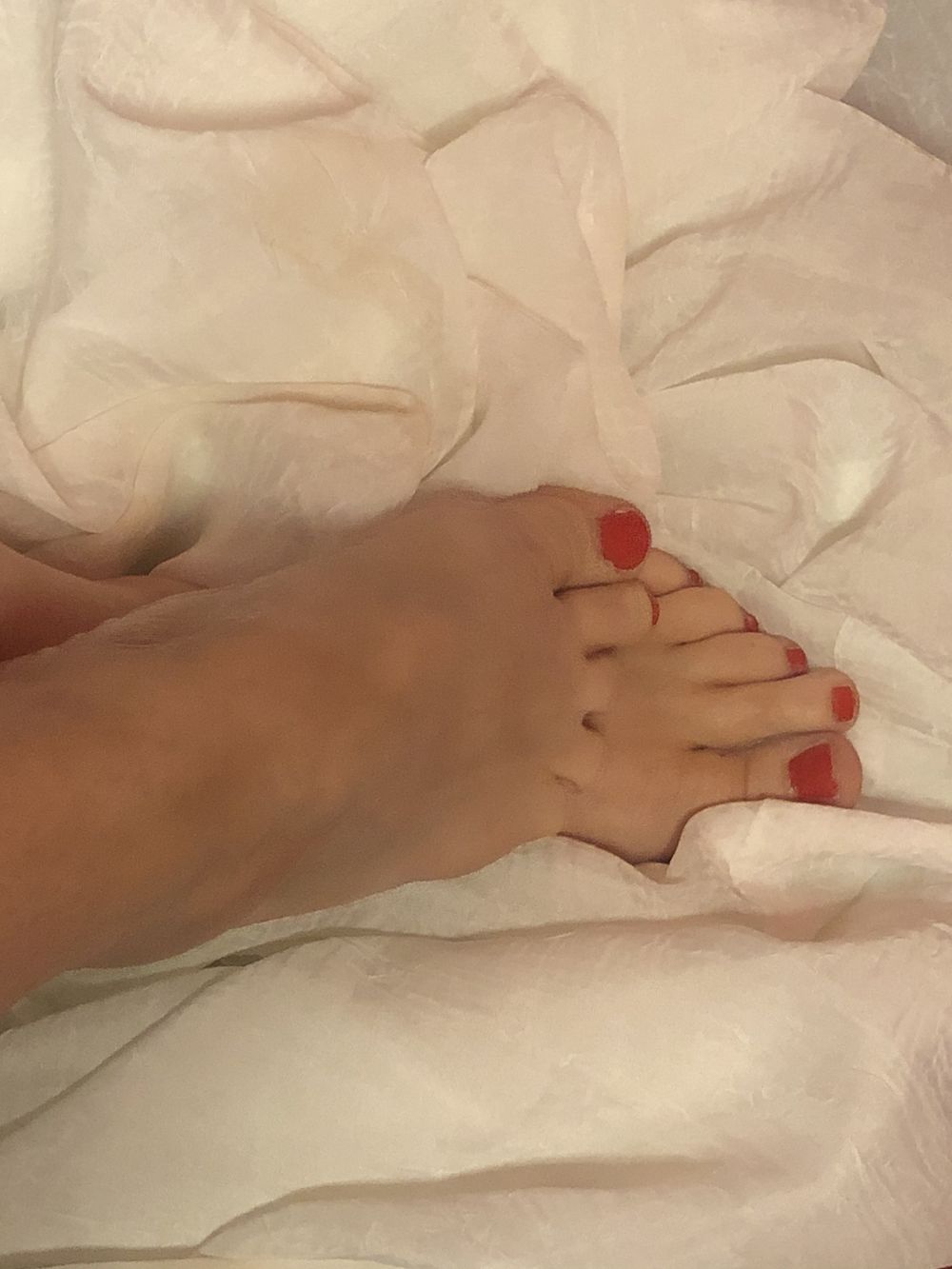 pixiepaws OnlyFans profile picture