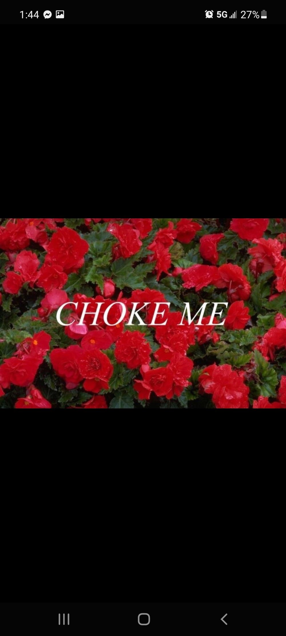 flwrbvmb OnlyFans profile picture