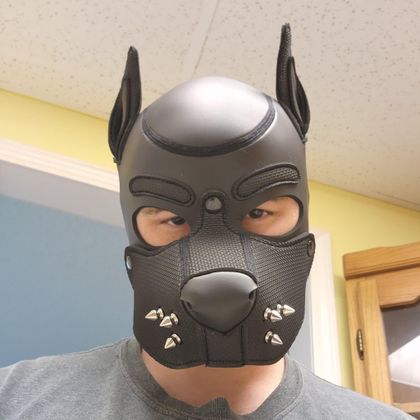 stealthyhyrbid OnlyFans picture