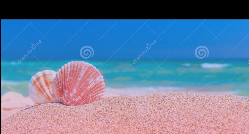 u218600113 OnlyFans profile picture