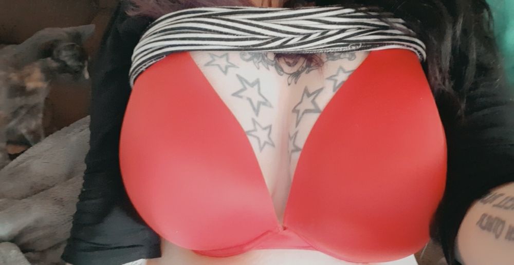 lexiihavoc OnlyFans profile picture