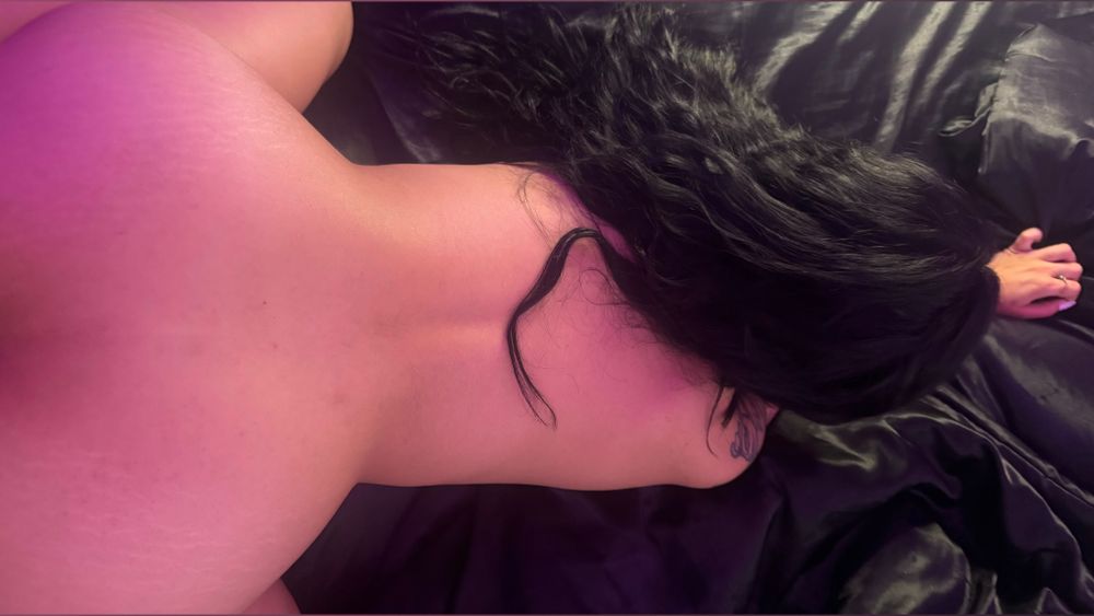 shesfelinewild OnlyFans profile picture