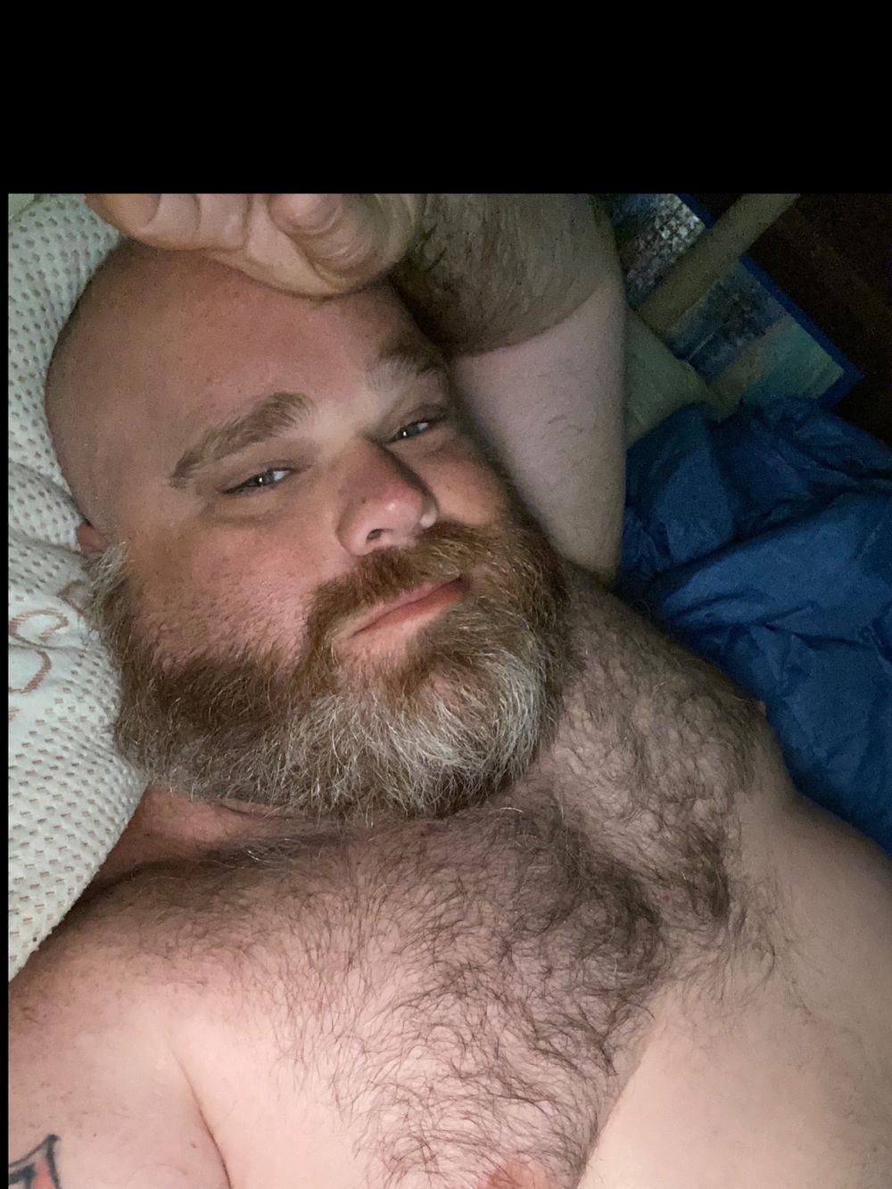 princealbert0g OnlyFans profile picture