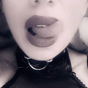 vixennor OnlyFans profile picture