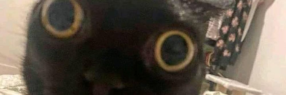 loonatixxx OnlyFans profile picture