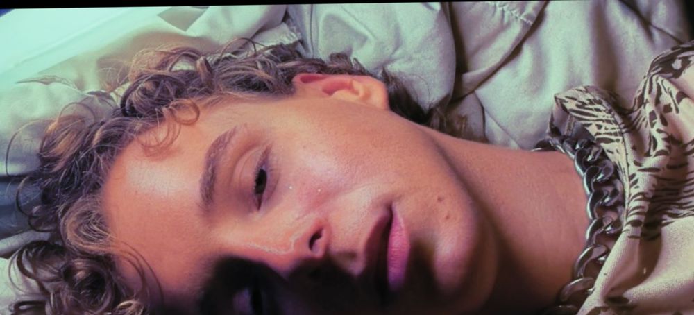 zylerpalmer OnlyFans profile picture