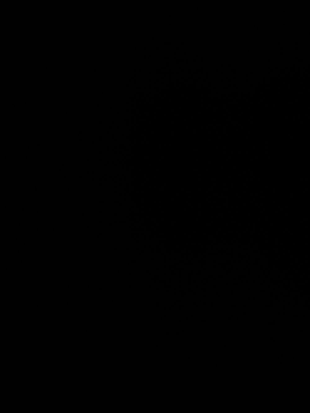 alaskangirlaa OnlyFans profile picture