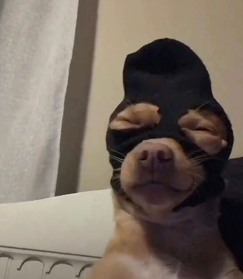 hemisskisses OnlyFans profile picture