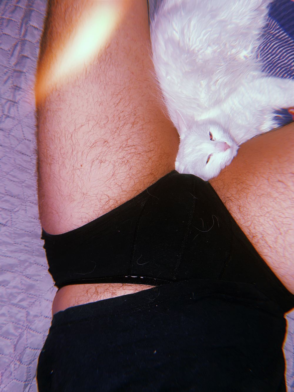 beardedbearbttm OnlyFans profile picture