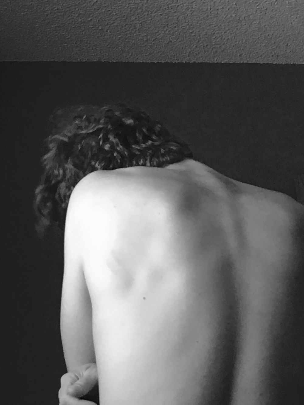 silverbitenightly OnlyFans profile picture