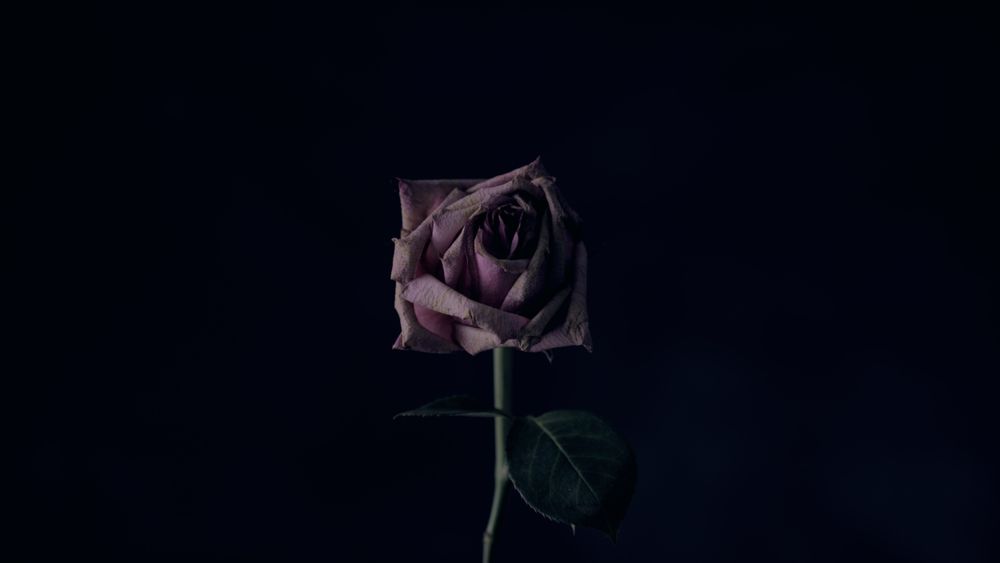 spookyspoonieshay OnlyFans profile picture