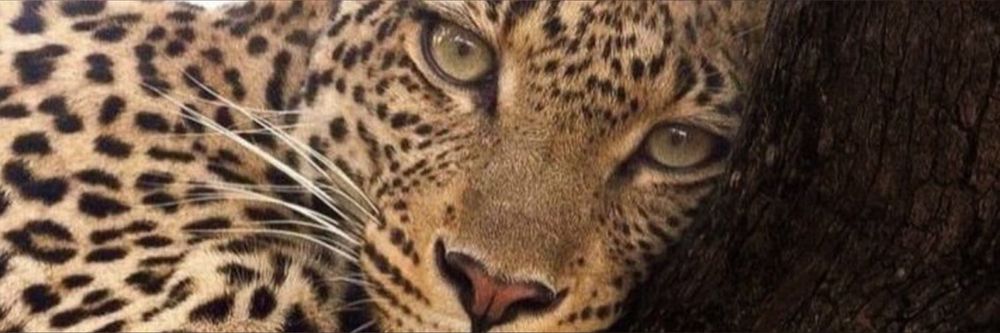 lusciouscarmen OnlyFans profile picture