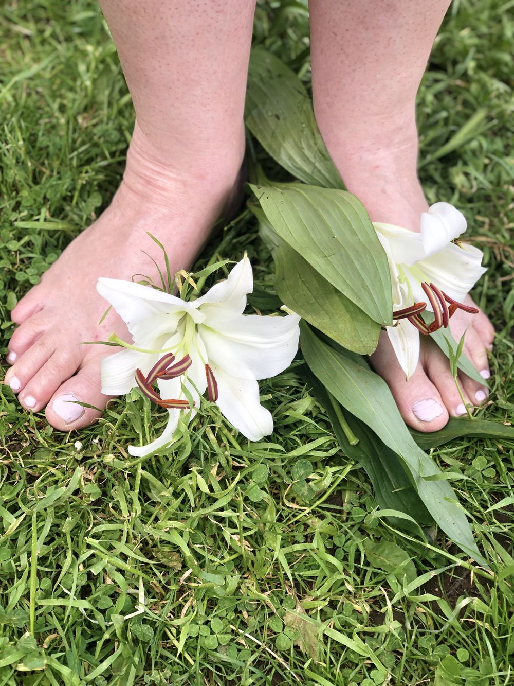 feet66 OnlyFans profile picture