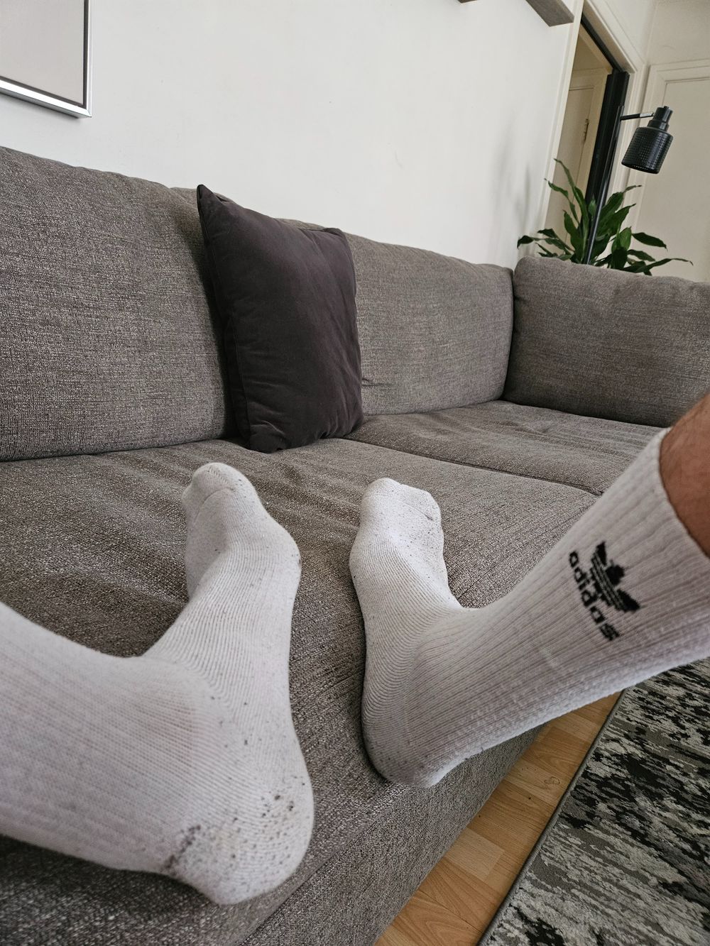 footdailylife OnlyFans profile picture