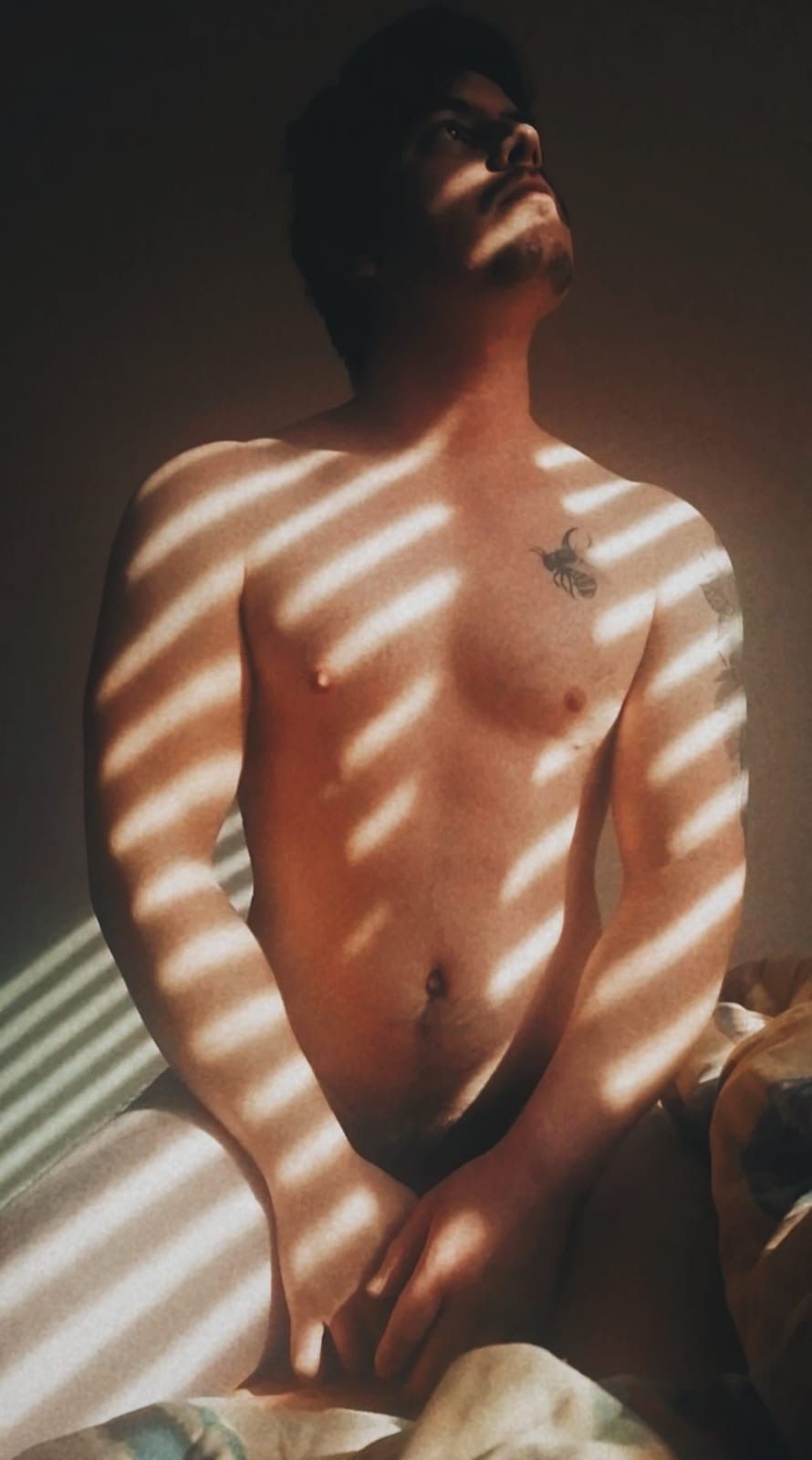 viniciogarduno OnlyFans profile picture