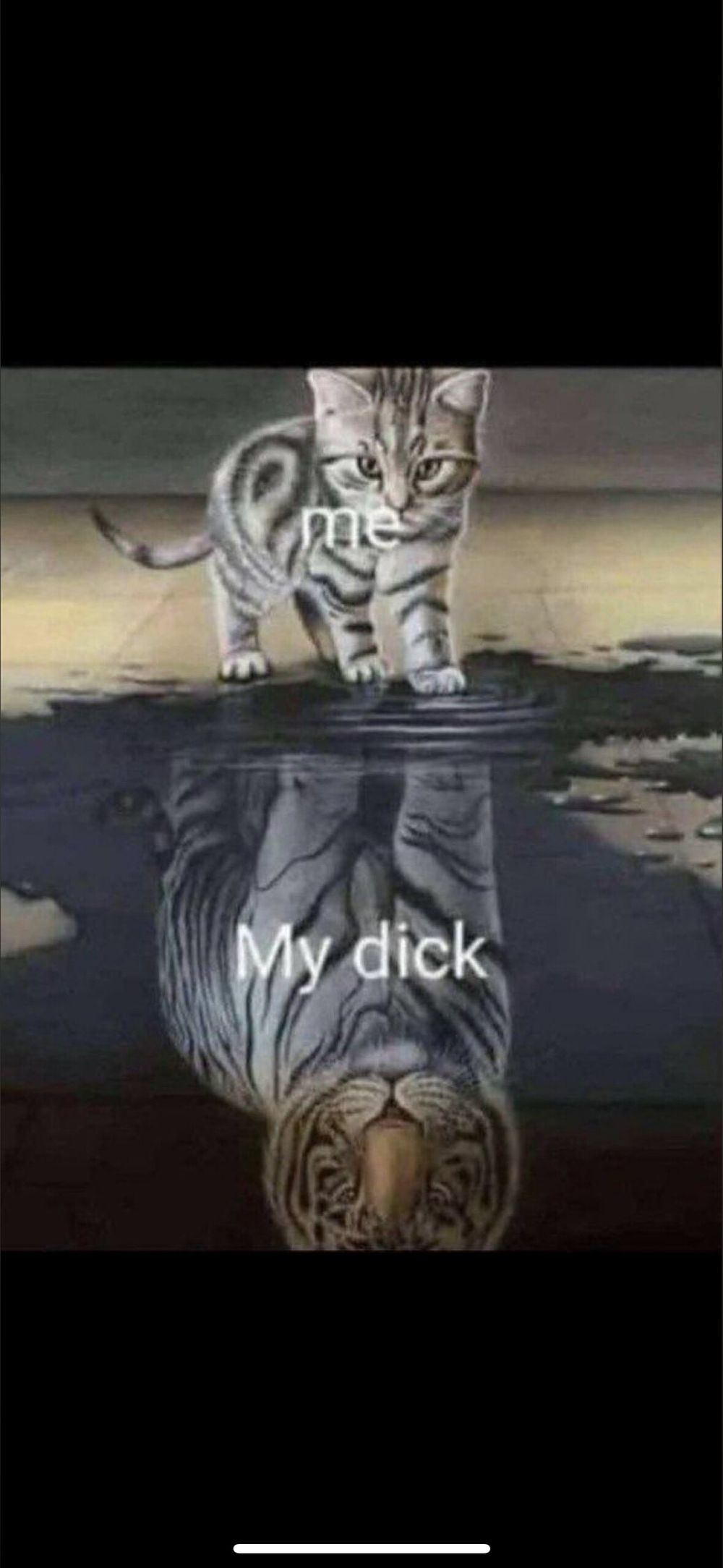missionarydior OnlyFans profile picture