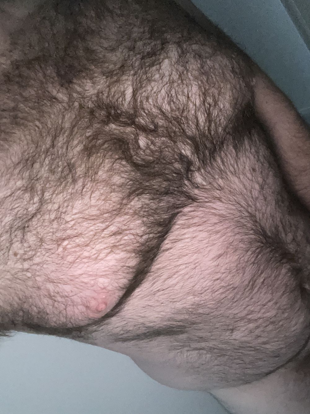 glasgowbearcub OnlyFans profile picture