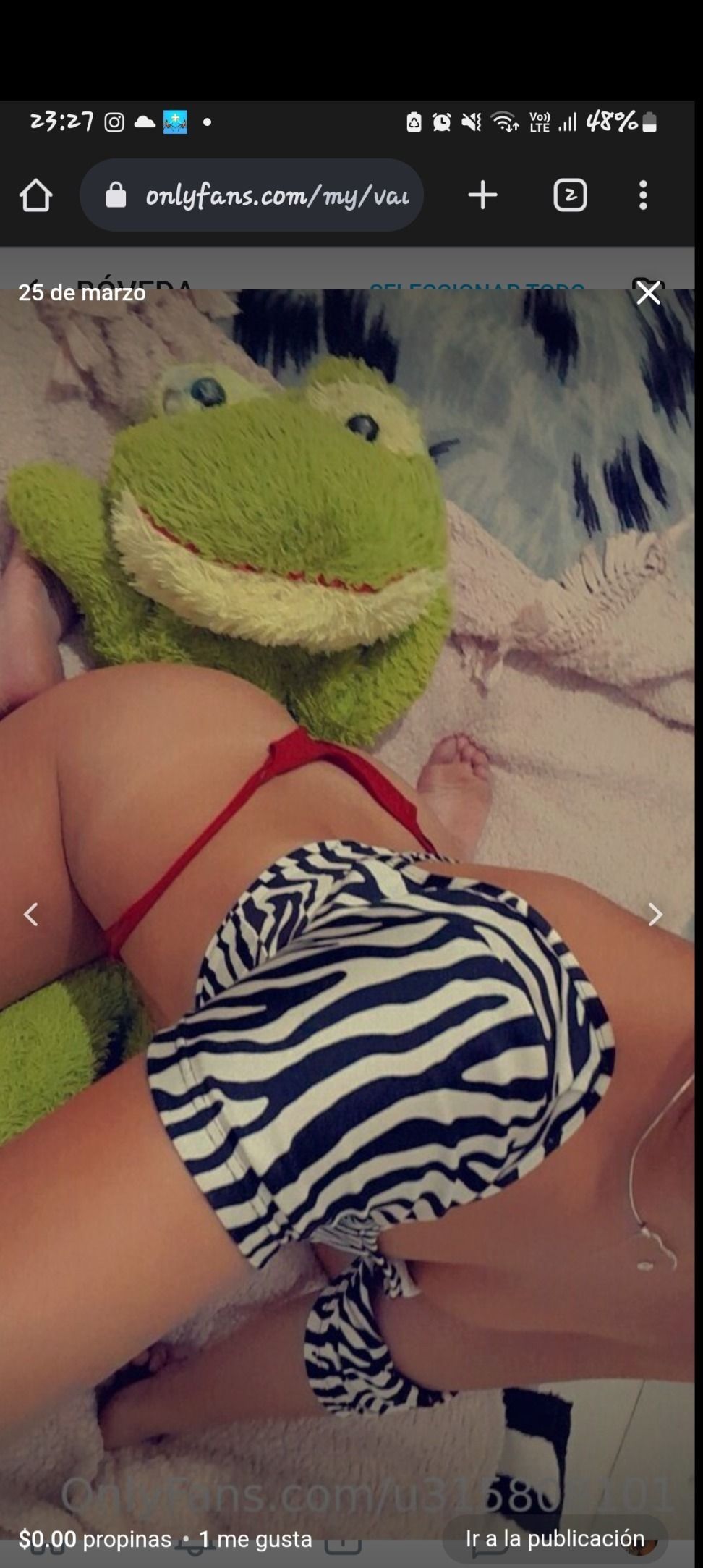 bbunicor OnlyFans profile picture