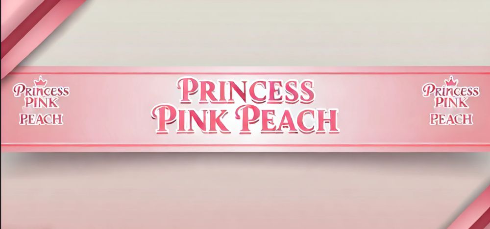 princesspinkpeach OnlyFans profile picture