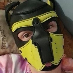 bigyellowpupper OnlyFans picture