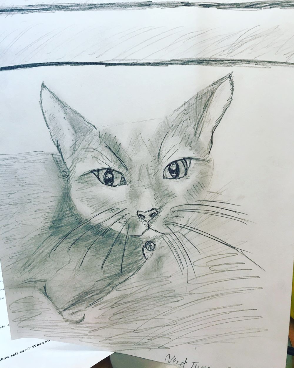 catherinebateyart OnlyFans profile picture
