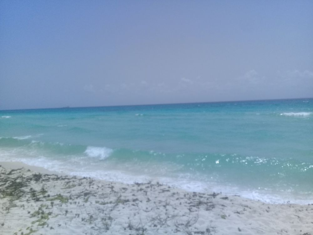 aalejo89 OnlyFans profile picture