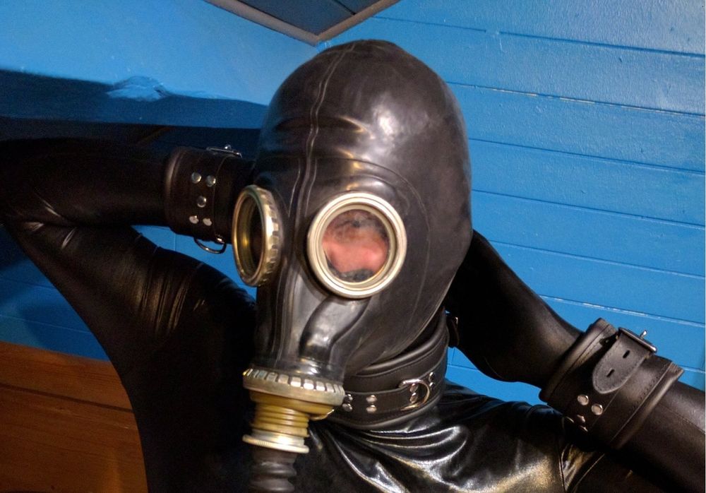 maxpup OnlyFans profile picture