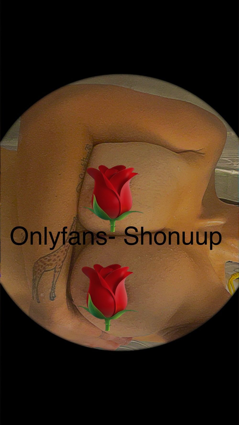 shonuup OnlyFans profile picture