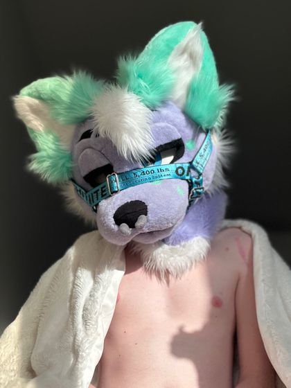 yiffoxad OnlyFans picture