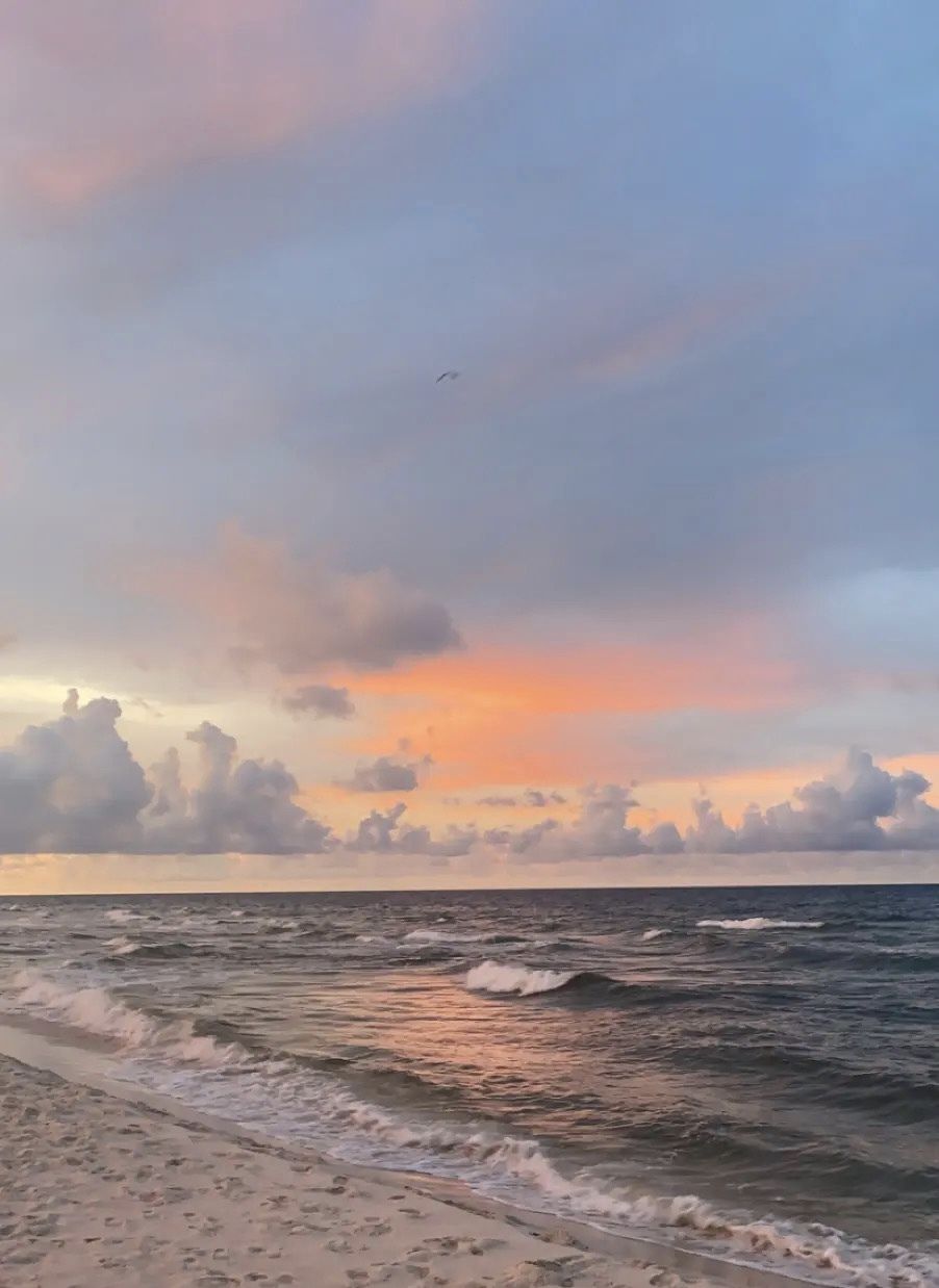 u48658071 OnlyFans profile picture