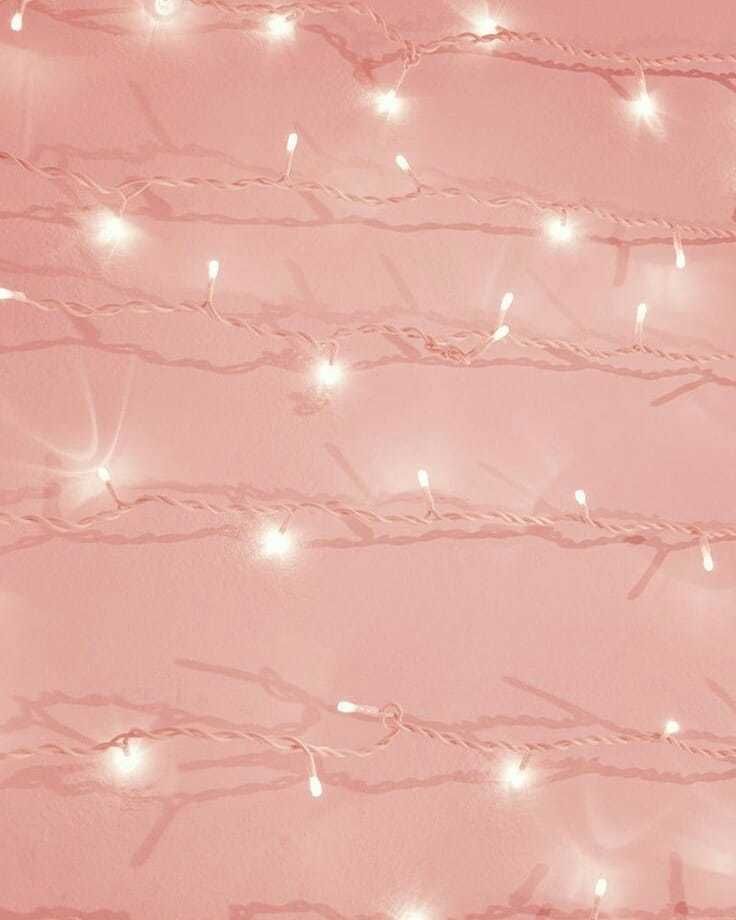 boolycxtie OnlyFans profile picture