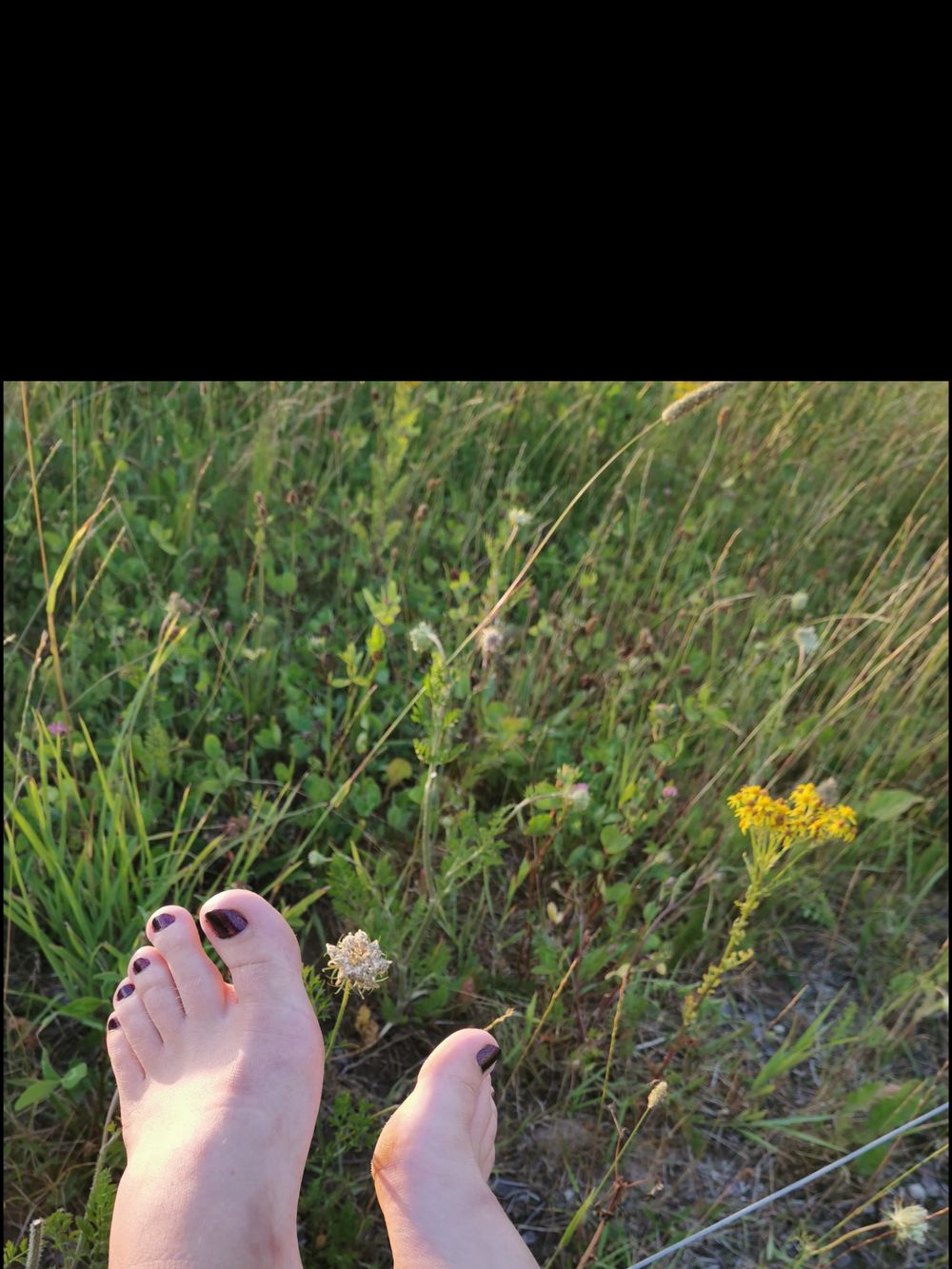 twolesslonelyfeet OnlyFans profile picture